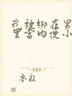 我被绑在男公厕里当肉便小说