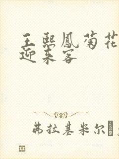 王熙凤菊花门初迎来客