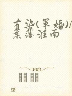 有染(军婚)/叶落淮南