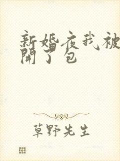新婚夜我被伴郎开了包