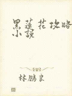 黑莲花攻略手册小说