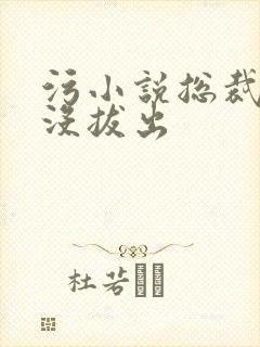 污小说总裁整夜没拔出