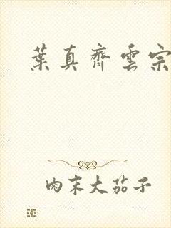 叶真齐云宗免费