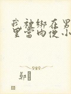 我被绑在男公厕里当肉便小说