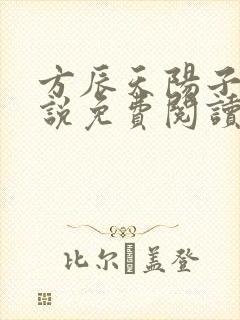 方辰天阳子的小说免费阅读