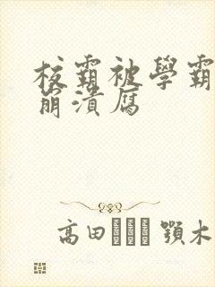 校霸被学霸玩到崩溃腐