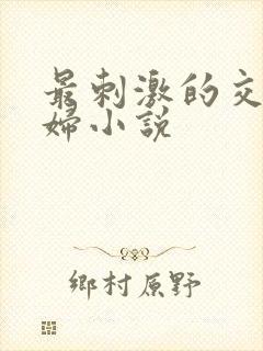 最刺激的交换夫妇小说