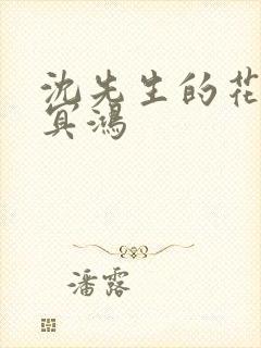 沈先生的花式调冥鸿