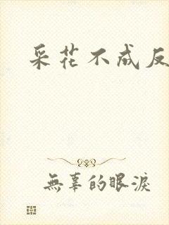 采花不成反被采