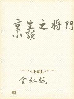 重生之将门毒后小说