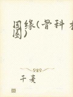 因缘(骨科 校园)