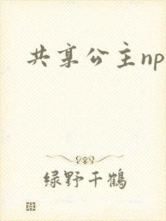 共享公主npc