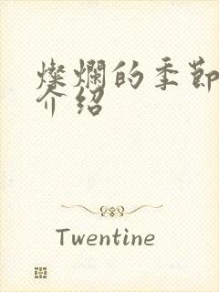 灿烂的季节剧情介绍