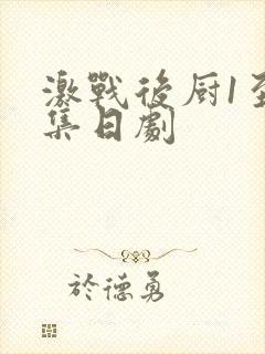 激战后厨1至5集日剧