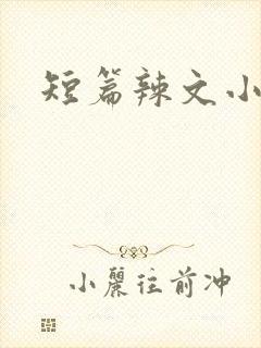 短篇辣文小说