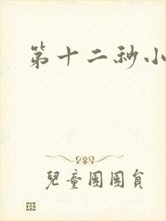 第十二秒小说