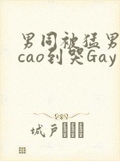 男同被猛男房东cao到哭Gay