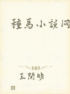 种马小说网