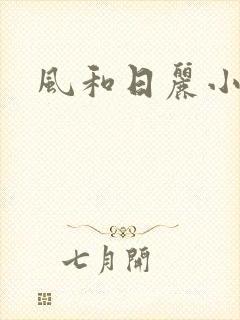 风和日丽小说