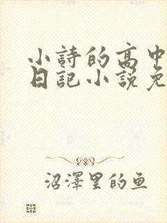 小诗的高中成长日记小说免费阅读