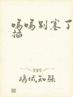 呜呜别塞了啊抽插