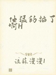 他猛的插了进去啊H