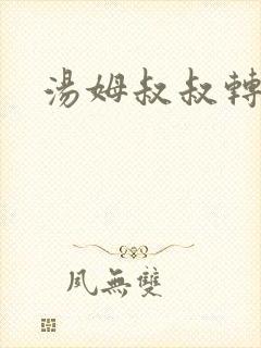 汤姆叔叔转接口