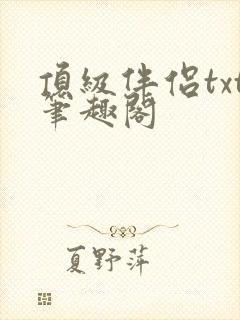 顶级伴侣txt笔趣阁