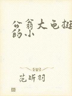 公翁大龟挺进我的小