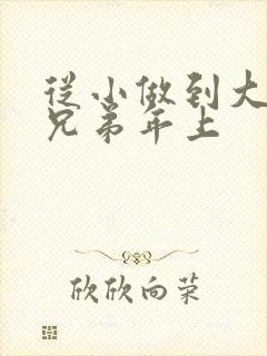 从小做到大骨科兄弟年上