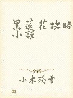 黑莲花攻略手册小说