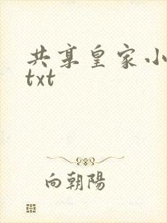 共享皇家小公主txt