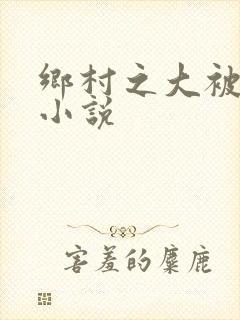 乡村之大被同眠小说