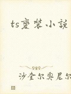 ts变装小说