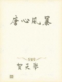 唐心风暴
