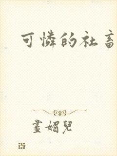 可怜的社畜小说