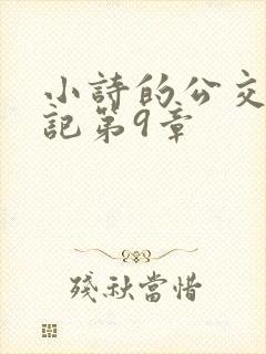 小诗的公交车日记第9章