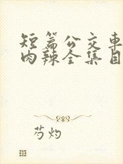 短篇公交车高h肉辣全集目录