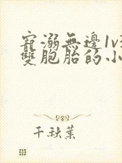 宠溺无边1v3双胞胎的小说