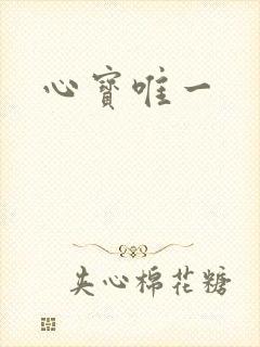 心宝唯一