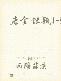 老金银瓶1-5