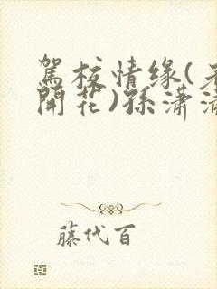 驾校情缘(老树开花)孙潇潇第一次趣笔阁