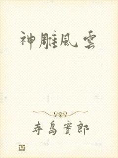 神雕风云