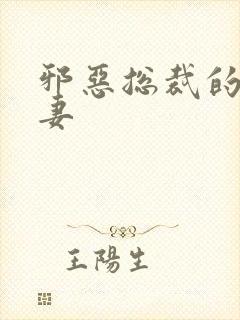 邪恶总裁的娇宠妻