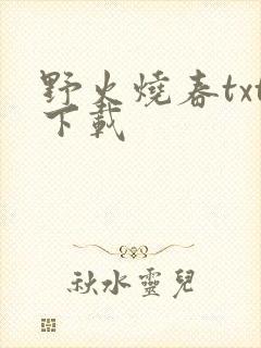 野火烧春txt下载