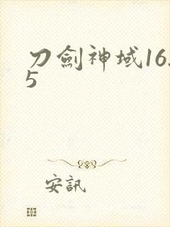 刀剑神域16.5