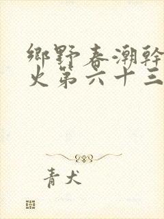 乡野春潮干柴烈火第六十三章