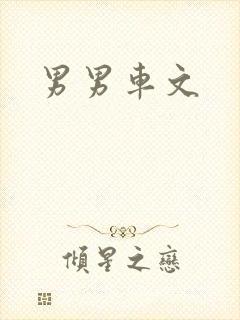 男男车文
