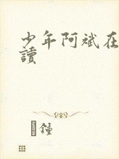 少年阿斌在线阅读