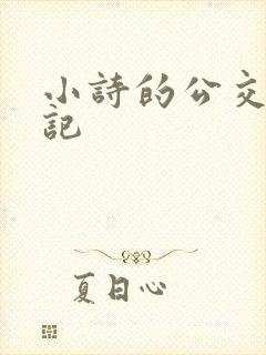 小诗的公交车日记
